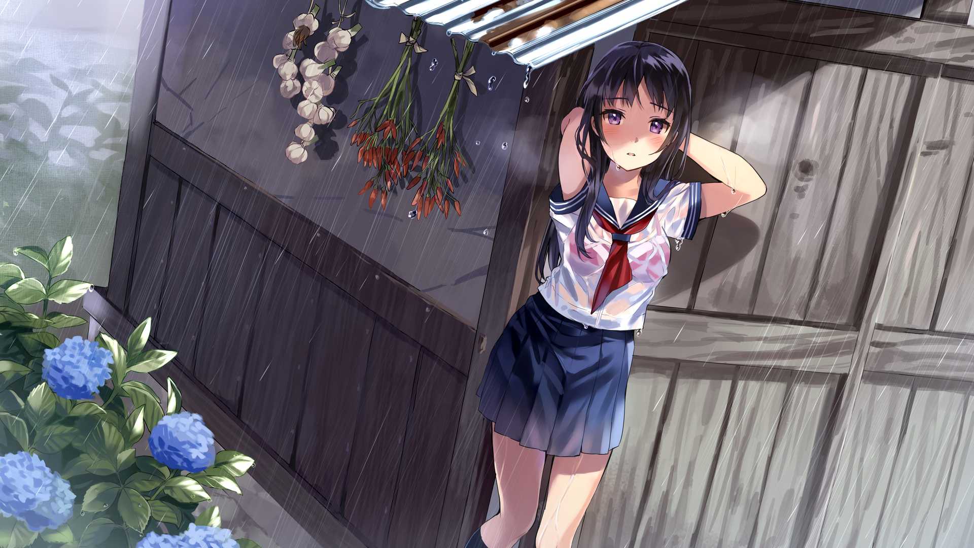 boxmoe_header_banner_img